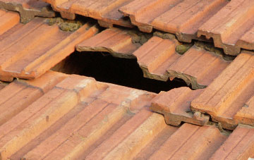 roof repair Carnegie, Angus